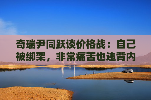 奇瑞尹同跃谈价格战：自己被绑架，非常痛苦也违背内心