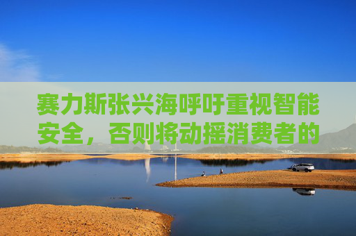 赛力斯张兴海呼吁重视智能安全，否则将动摇消费者的信心