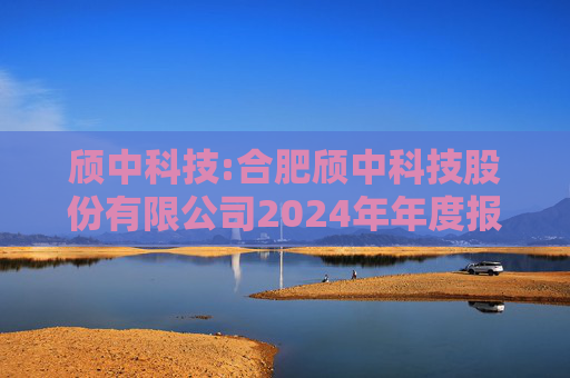 颀中科技:合肥颀中科技股份有限公司2024年年度报告