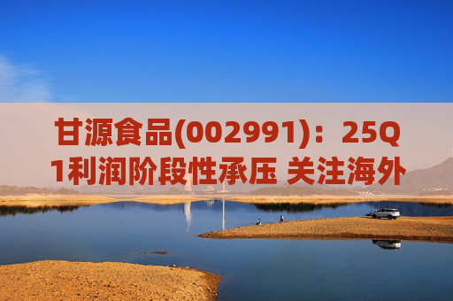 甘源食品(002991)：25Q1利润阶段性承压 关注海外市场突破