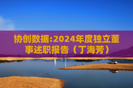 协创数据:2024年度独立董事述职报告（丁海芳）