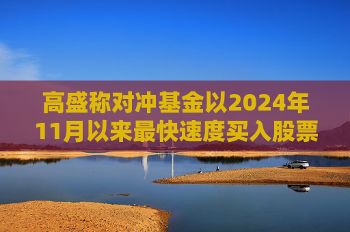 高盛称对冲基金以2024年11月以来最快速度买入股票  第1张