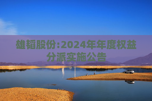 雄韬股份:2024年年度权益分派实施公告
