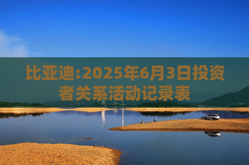 比亚迪:2025年6月3日投资者关系活动记录表