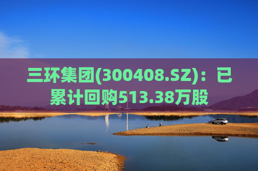 三环集团(300408.SZ)：已累计回购513.38万股