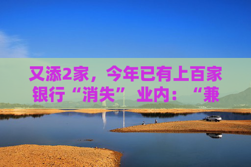 又添2家，今年已有上百家银行“消失” 业内：“兼并重组、减量提质”是中小银行改革重要思路