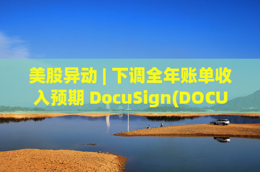 美股异动 | 下调全年账单收入预期 DocuSign(DOCU.US)大跌超18%