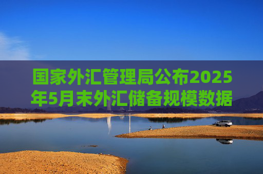 国家外汇管理局公布2025年5月末外汇储备规模数据  第1张