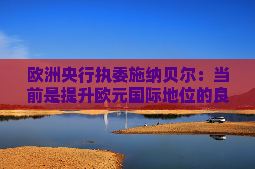 欧洲央行执委施纳贝尔：当前是提升欧元国际地位的良机