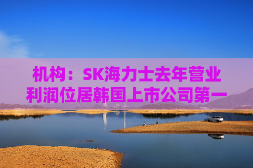 机构：SK海力士去年营业利润位居韩国上市公司第一，首次超过三星电子