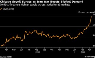 冲突扰乱贸易、供应收紧风险加剧，农作物价格大涨