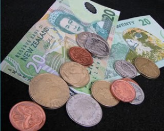 上纽资产的主要项目是什么？这些项目的发展前景如何？