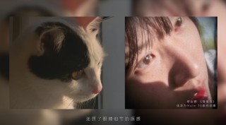 手机如何拍电影？金鸡手机电影计划投稿导演用华为Mate 70系列交出答卷