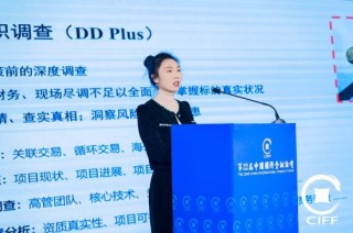 颐信科技洪晓彤：解决金融开源网络情报的最佳方案是“人工智能+智能人工”模式