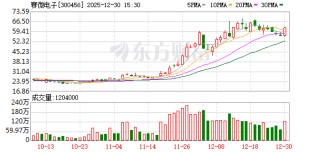 赛微电子：董事、高管合计减持15.19万股 减持计划已实施完毕