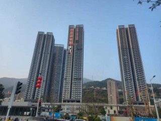 房产中介手机“响个不停”！节后市场回温，重点城市楼市小阳春可期