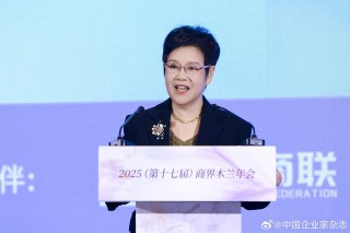 华策影视董事长赵依芳：AI技术深度融入文化产业全流程