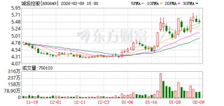 城投控股2025年归母净利润2.9亿元