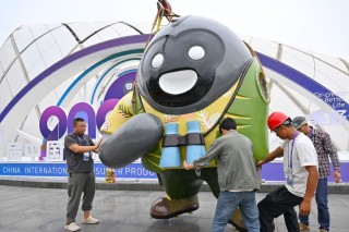 连续五年写入政府工作报告的消博会，有啥看头？