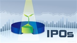 新股的选择标准有哪些？这些标准在不同市场环境下的适用性如何？