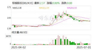 棕榈股份：公司尚未开始实施本次股份回购