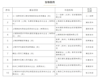 上海三大先导产业母基金，再出手17只子基金！