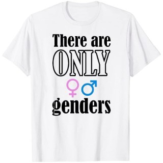 美国最高法院驳回“性别只有两种”T恤案 维持学校禁穿令