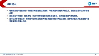【申万宏源策略】溢价收敛，龙头为先——2025年中期美股策略观点