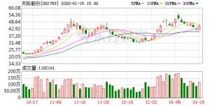 天际股份：2025年年度业绩预告