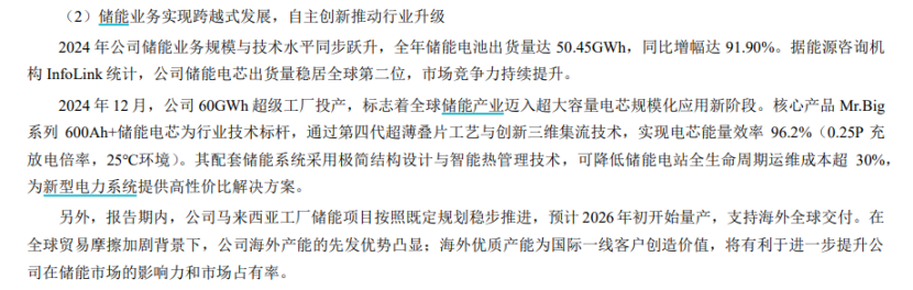 榜首依旧是宁德时代！2024年储能业务出货量TOP10盘点  第6张