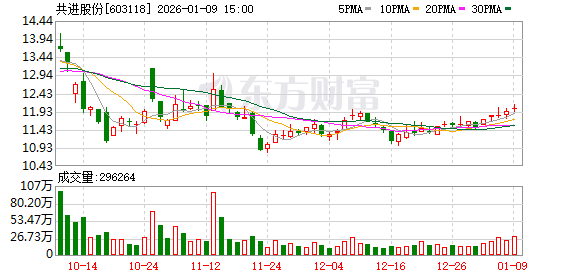 共进股份：持续稳定地提升公司业绩是维护股东长期利益与公司长远发展的根本  第1张