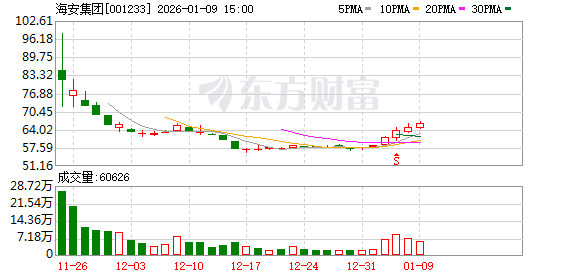 海安集团：公司调整后的募集资金主要投向三个项目  第1张