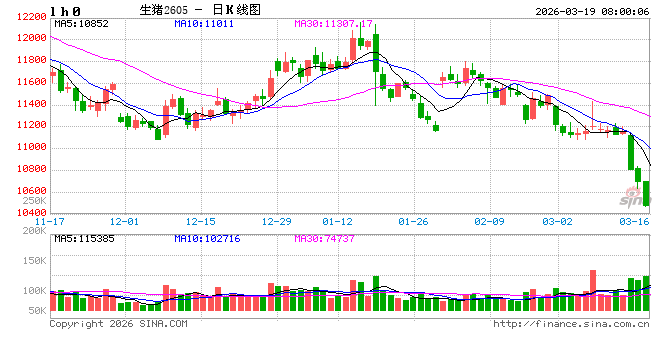 全行业亏损！猪价“跌跌不休”，底在何方？  第2张